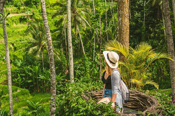 Ubud Customizable Tours Swing, Waterfall and Temple - Customizable Itinerary