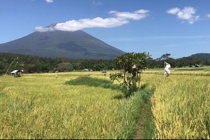 Ubud Customize Tour - Tour Highlights