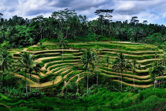 Ubud Customized Tour All-Inclusive - Why Choose the Ubud Customized Tour?