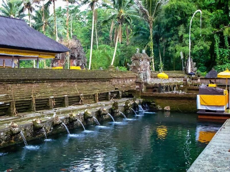 Ubud Customized Tour-Ubud Charter - Who Is This Tour Best For?