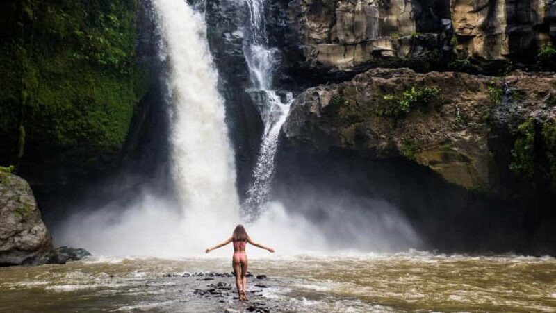 Ubud: Customized Ubud Full Day Tour With Private Driver - Insights from Traveler Reviews