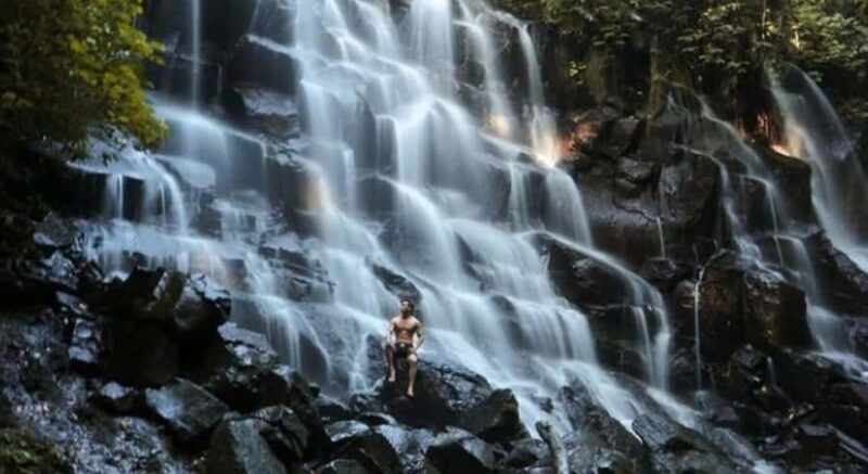 Ubud: Customized Ubud Tour With Private Car - Why Choose This Ubud Private Tour?