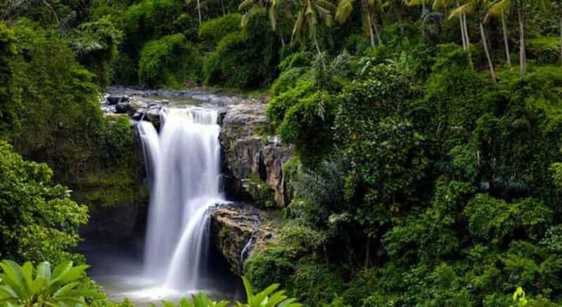 Ubud: Customized Ubud Tour With Private Car - Exploring the Ubud Private Tour — a Perfect Balance of Culture, Nature, and Adventure