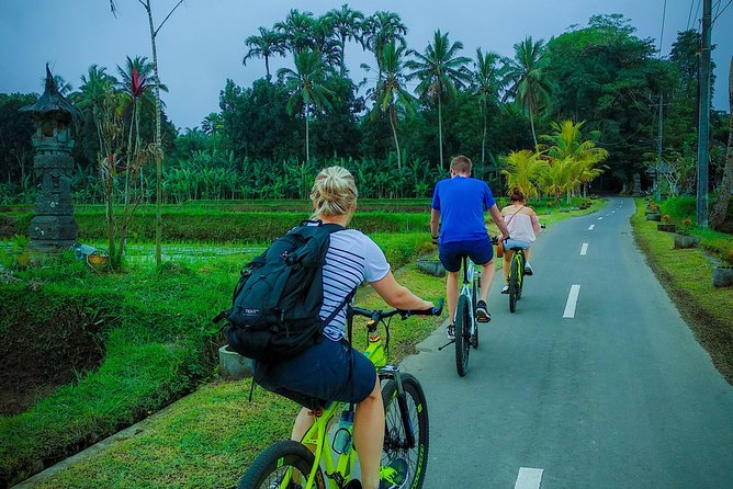 Ubud Cycling Tour - Tour Highlights