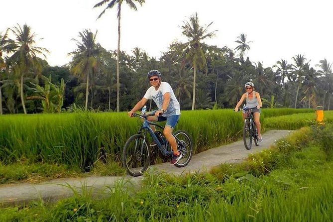 Ubud Cycling Tour - Itinerary Details