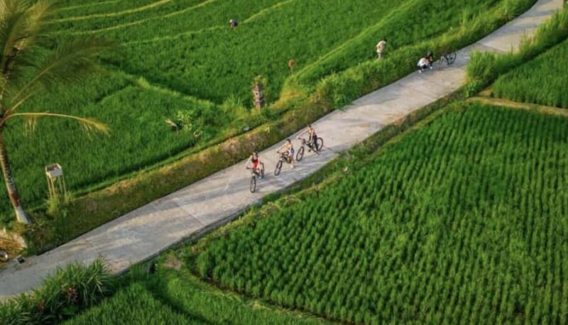 Ubud: Cycling Tour Local Villages, Temple, and Rice Field - Final Thoughts: Is It Worth It?