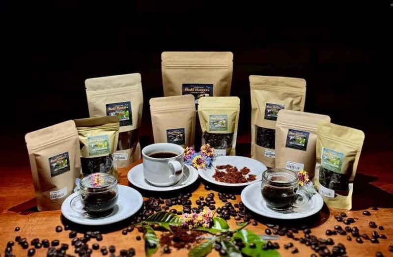 Ubud Day Tour  Japanese Guide Included - Exploring Ubud: What to Expect on the Tour