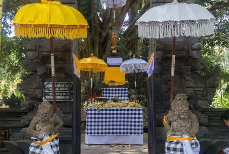 Ubud Day Tour  Japanese Guide Included - Final Thoughts