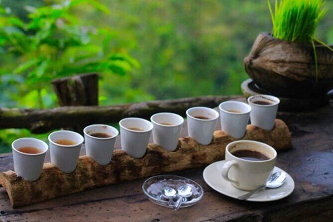 Ubud Day Tour: Sacred Monkey Forest, Rice Terraces and Waterfall - Exploring the Itinerary in Detail