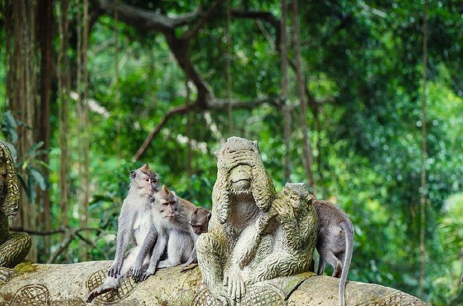 Ubud Day Tour: Sacred Monkey Forest, Rice Terraces and Waterfall - The Sum Up