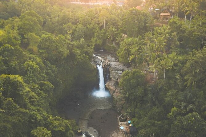 Ubud Day Tour: Sacred Monkey Forest, Tegenungan Waterfall, Rice Terrace - Monkey Forest Exploration