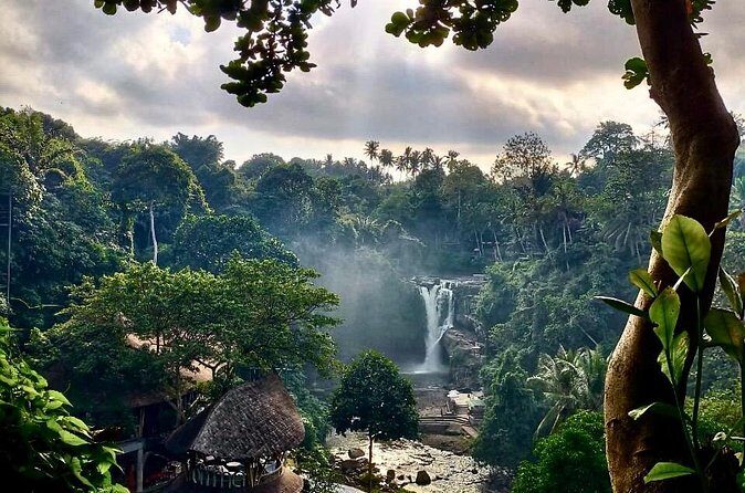 Ubud Day Tour with Private Car & Local Driver - Real Experiences from Travelers