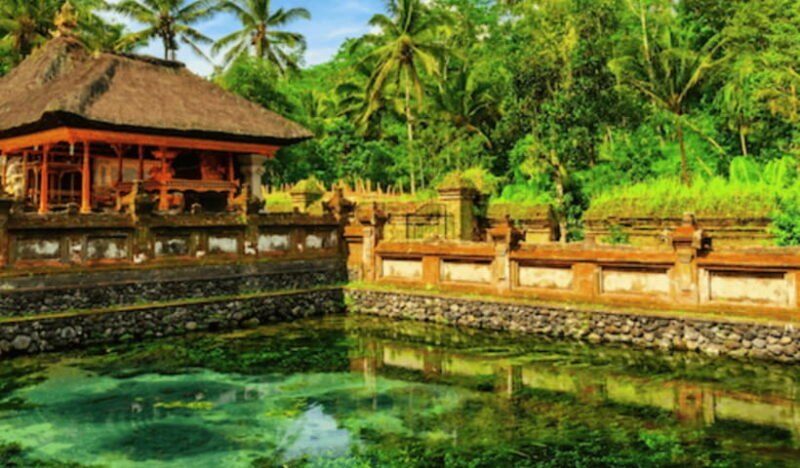 Ubud Day Tours (Private and All Inclusive) - Authentic Insights from Reviewers