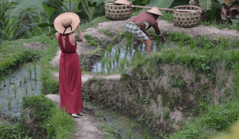 Ubud Day Tours (Private and All Inclusive) - FAQ