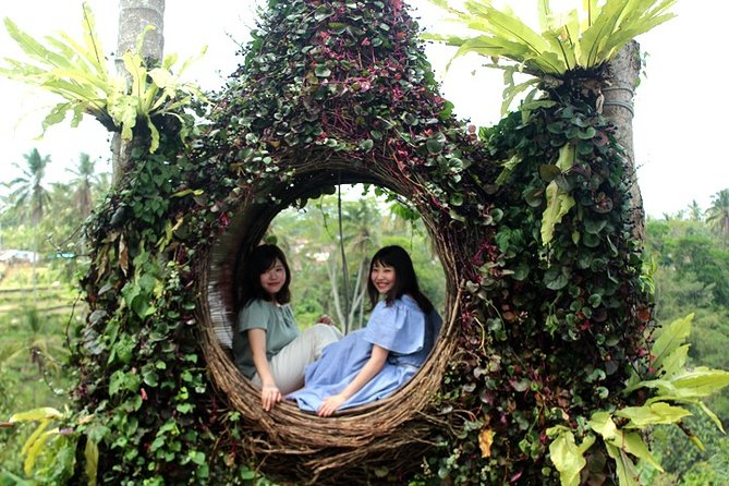 Ubud Day Trip and Tanah Lot - Trip Highlights