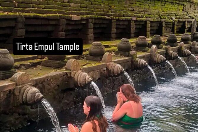 Ubud Day Trip Private Car Charter for a Full Bali Experience - Why Choose a Private Ubud Day Trip?