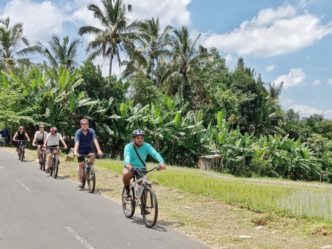 Ubud Downhill Cultural Cycling Tour With Rural and Meal - Tour Highlights and Experience