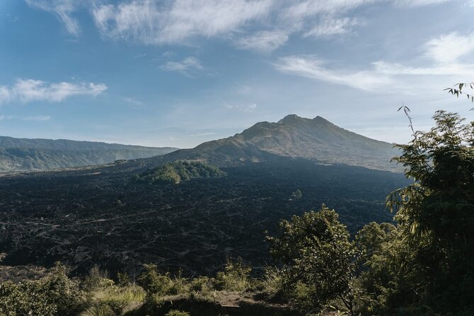 Ubud: Downhill Cycling With Volcano, Rice Terraces and Meal - Tour Inclusions and Services