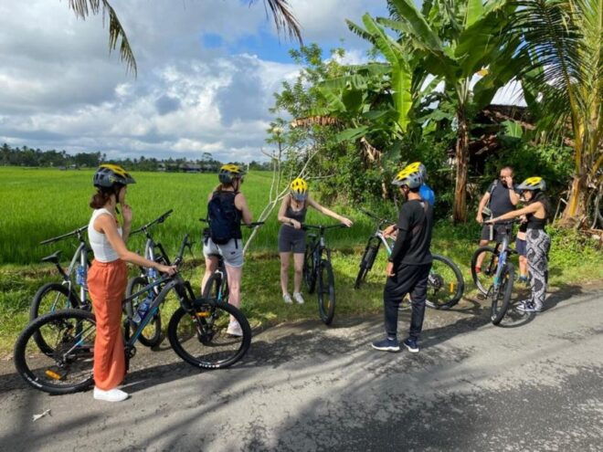 Ubud: Downhill Cycling With Volcano, Rice Terraces and Meal - Highlights of the Tour