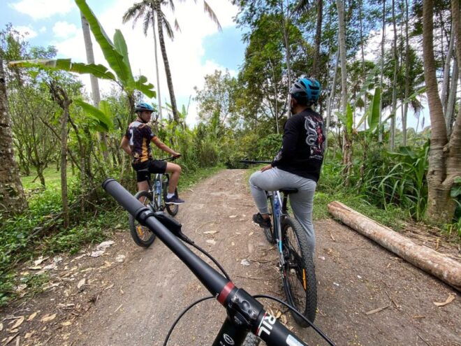 Ubud: Downhill Cycling With Volcano, Rice Terraces and Meal - Full Description of the Activity
