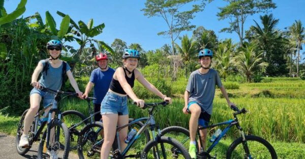 Ubud: Downhill Cycling With Volcano, Rice Terraces and Meal - Background