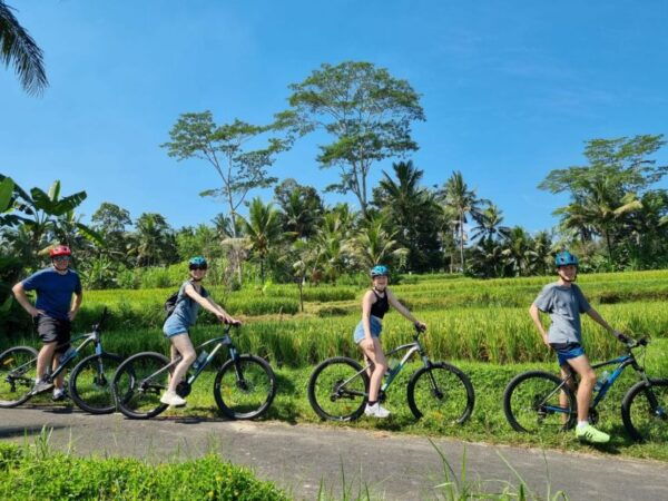 Ubud: Downhill Cycling With Volcano, Rice Terraces and Meal - Things to Do in South Batur