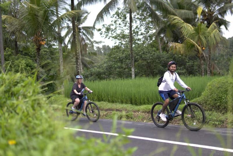 Ubud: E-Bike Tour with Rice Terrace and Village Visit - Good To Know