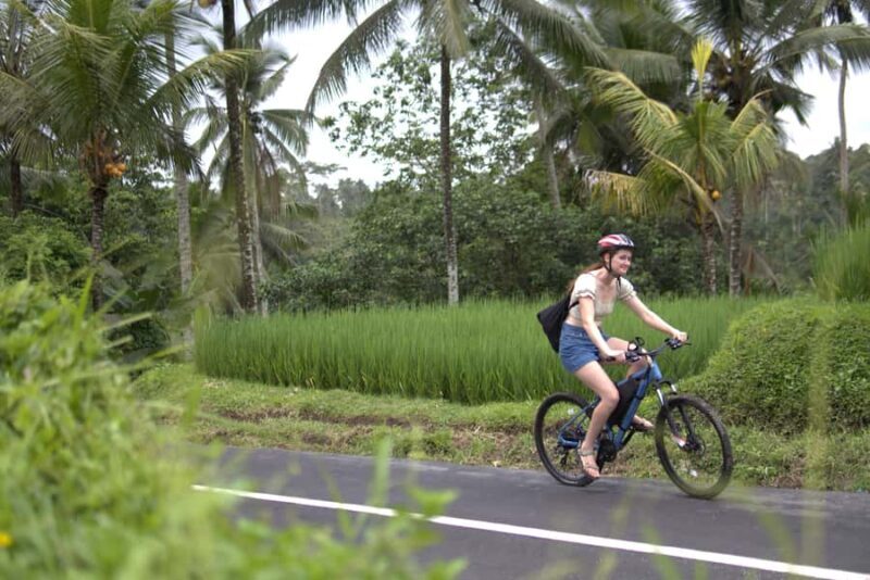 Ubud: E-Bike Tour with Rice Terrace and Village Visit - The Sum Up