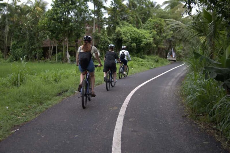 Ubud: E-Bike Tour with Rice Terrace and Village Visit - Exploring Bali on Two Wheels: What to Expect
