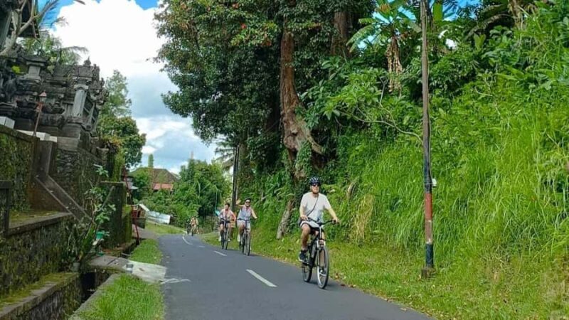 Ubud: E-Bikes Tour & Swing Bali - Good To Know
