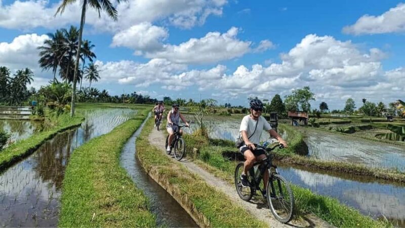 Ubud: E-Bikes Tour & Swing Bali - Good To Know