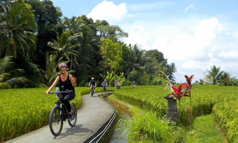 Ubud eBike (Electric Bike) Cycling Tour - Ubud’s countryside, at bicycle speed