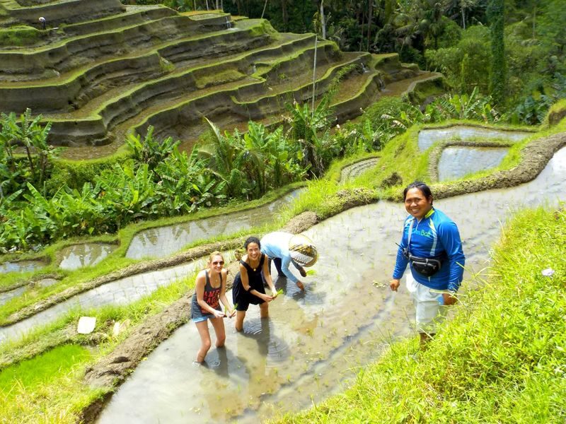 Ubud eBike (Electric Bike) Cycling Tour - Choosing Tegallalang or Tirta Empul