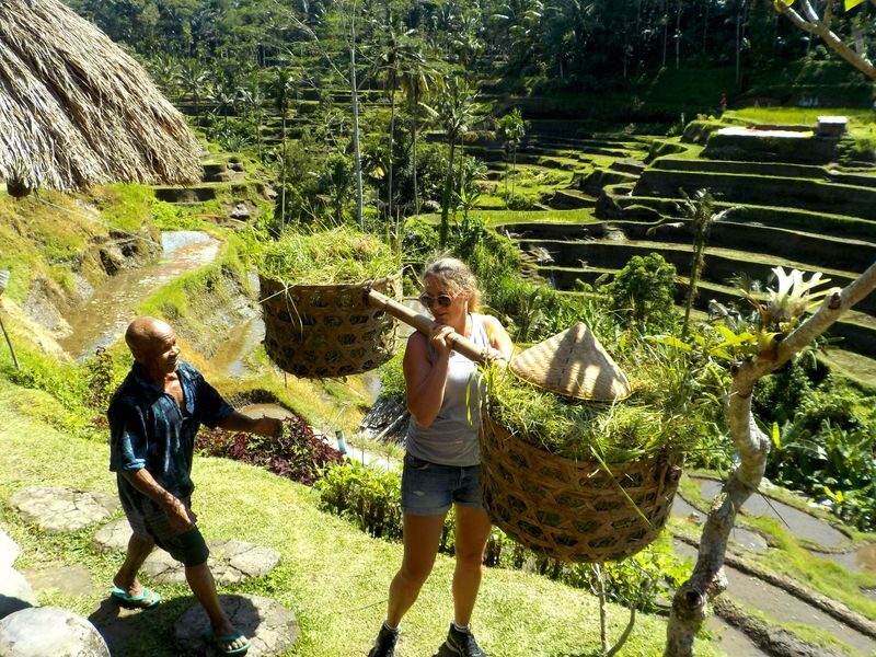 Ubud eBike (Electric Bike) Cycling Tour - What the ride feels like on Bali’s roads