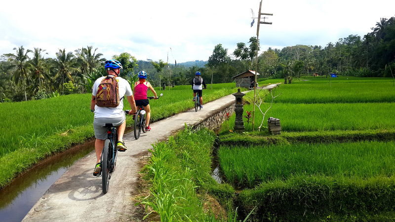 Ubud eBike (Electric Bike) Cycling Tour - A meal makes this a useful half-day outing