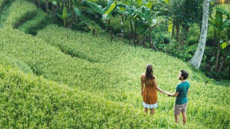 Ubud Eco-Adventure: Farm, Rice Terraces, River & Dance Show! - Activity Highlights