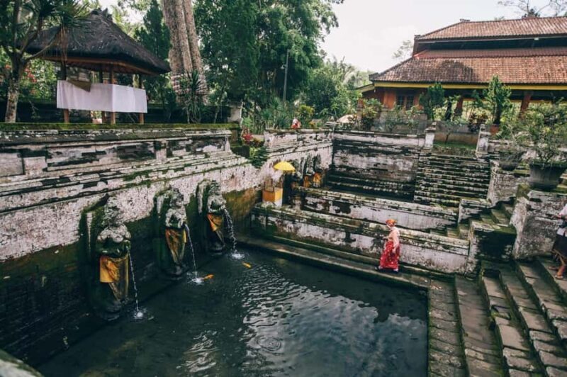 Ubud: Elephant Cave & Pakerisan UNESCO Guided Tour - Exploring Goa Gajah: The Heart of the Tour