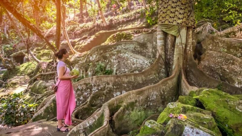 Ubud: Elephant Cave & Pakerisan UNESCO Guided Tour - What to Expect From the Tour