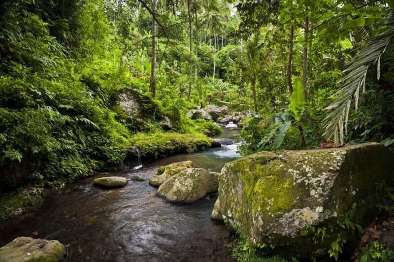 Ubud: Elephant Cave & Pakerisan UNESCO Guided Tour - Value and Overall Impression