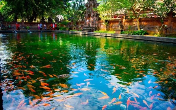 Ubud : Essence of Ubud - A Cultural Exploration Tour - Important Tour Information