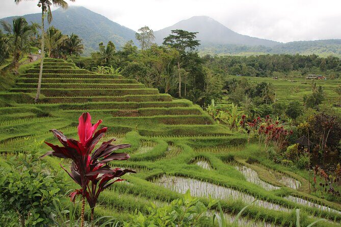 Ubud Essentials: Temples, Rice Terraces & Jungle Waterfalls - Final Thoughts