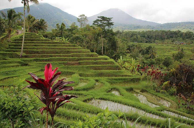 Ubud Essentials: Temples, Rice Terraces & Jungle Waterfalls - FAQ