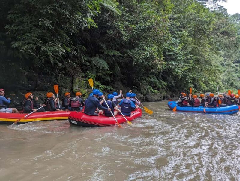 Ubud: Family-Friendly Ayung River Rafting Experience - Why Choose This Ubud River Rafting Experience?