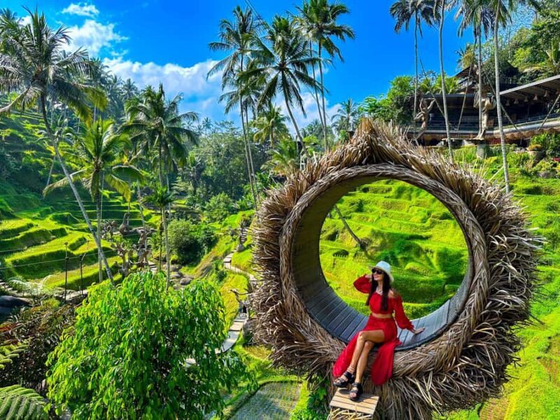 Ubud: Full-Day Highlights Tour with Female Driver Guide - Final Thoughts: Is It Worth It?