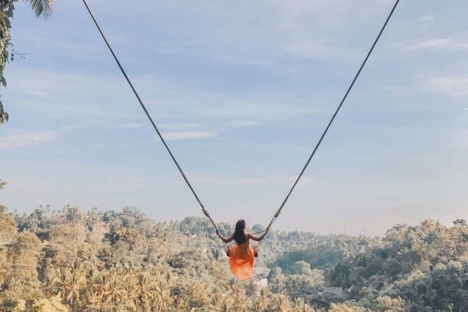 Ubud Full Day - Monkey Forest, Rice Terrace and Waterfalls Tour - Good To Know