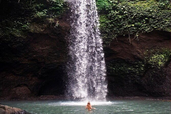 Ubud Full Day - Monkey Forest, Rice Terrace and Waterfalls Tour - FAQ