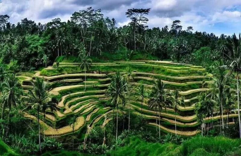 Ubud: Full Day Private Tour - FAQ