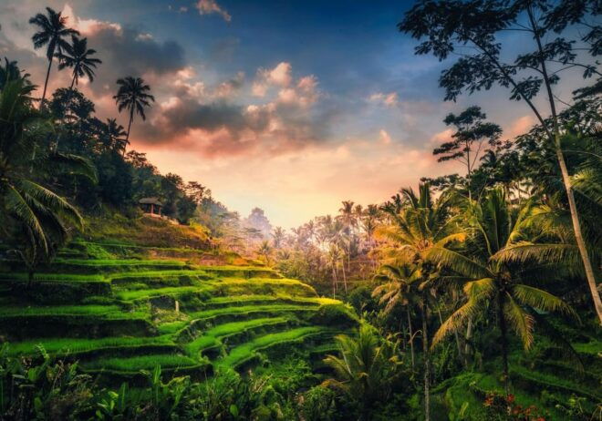 Ubud: Full-Day Rice Paddy UNESCO and Traditional Village - Important Information