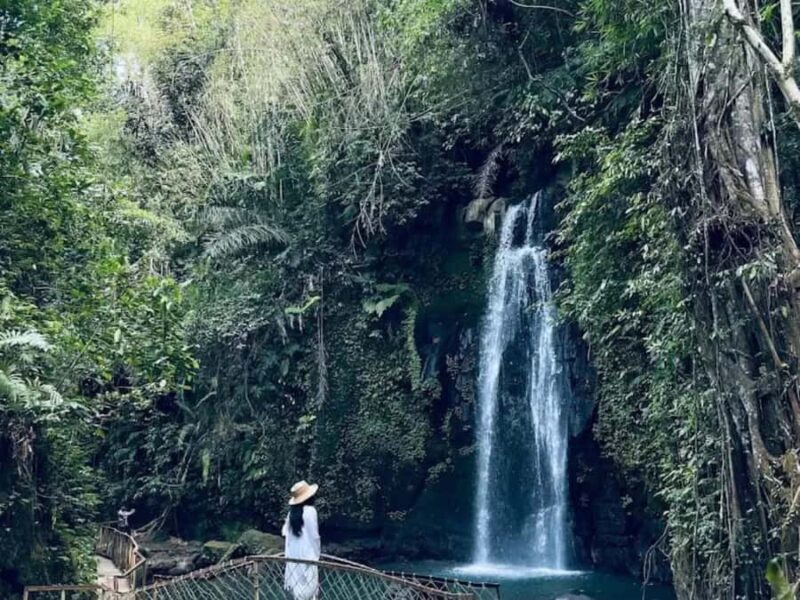 Ubud: Full-Day. Rice Terrace, Tirta Empul Temple & Waterfall - Good To Know