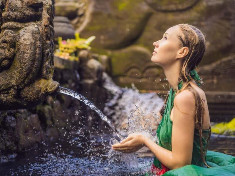 Ubud: Full-Day. Rice Terrace, Tirta Empul Temple & Waterfall - Who Should Book This Tour?